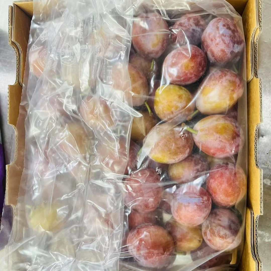 小鲸鱼3JD 空运智利西梅软硬两吃2斤/4.4斤装