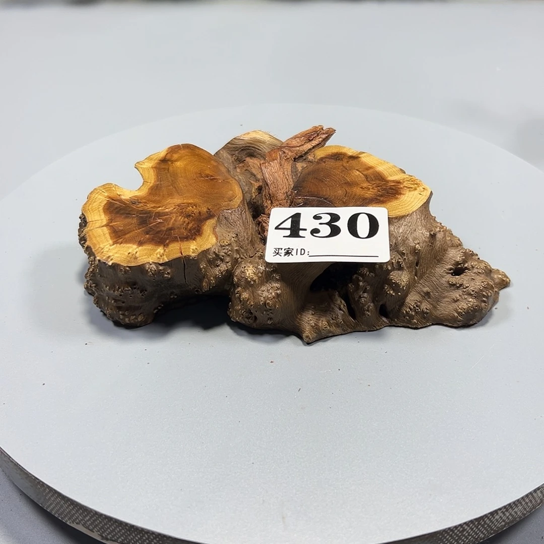 大果紫檀（缅甸花梨）天**福