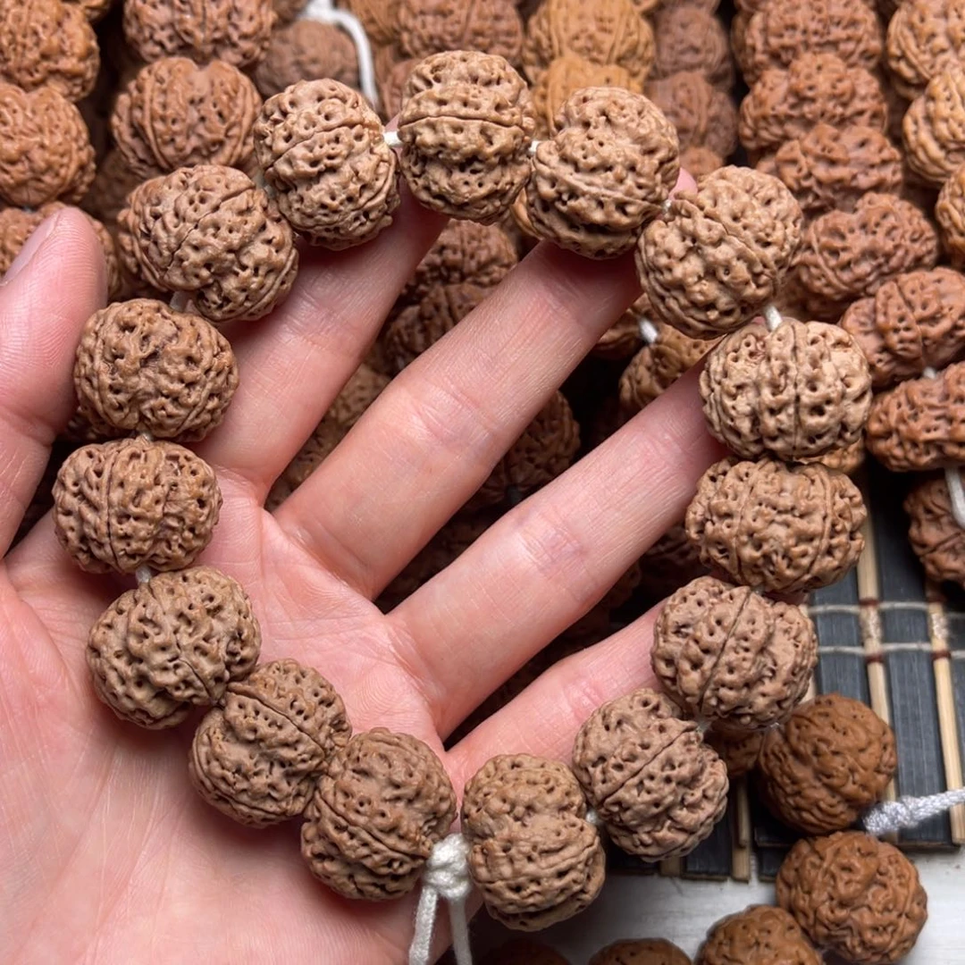 菩提徒**色33号金刚菩提梁梅花21