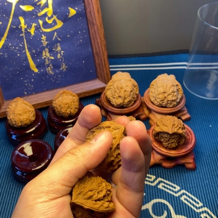 手串/手链贝壳圆45554457778