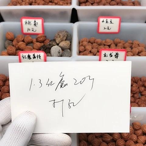 桃核吊坠他*哥龙纹桃核的搭配