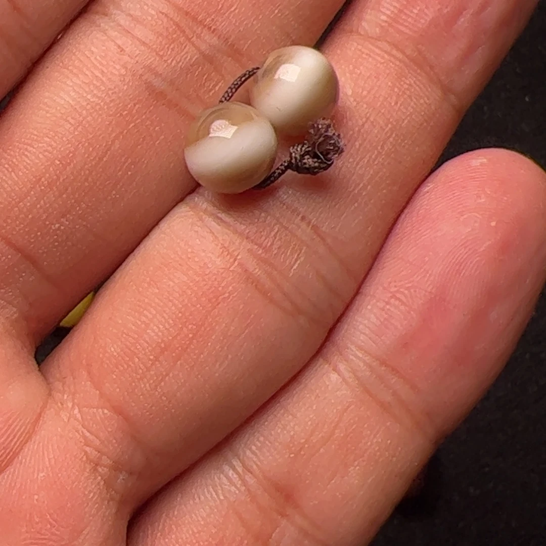 南***风玛瑙/玉髓未镶嵌配饰