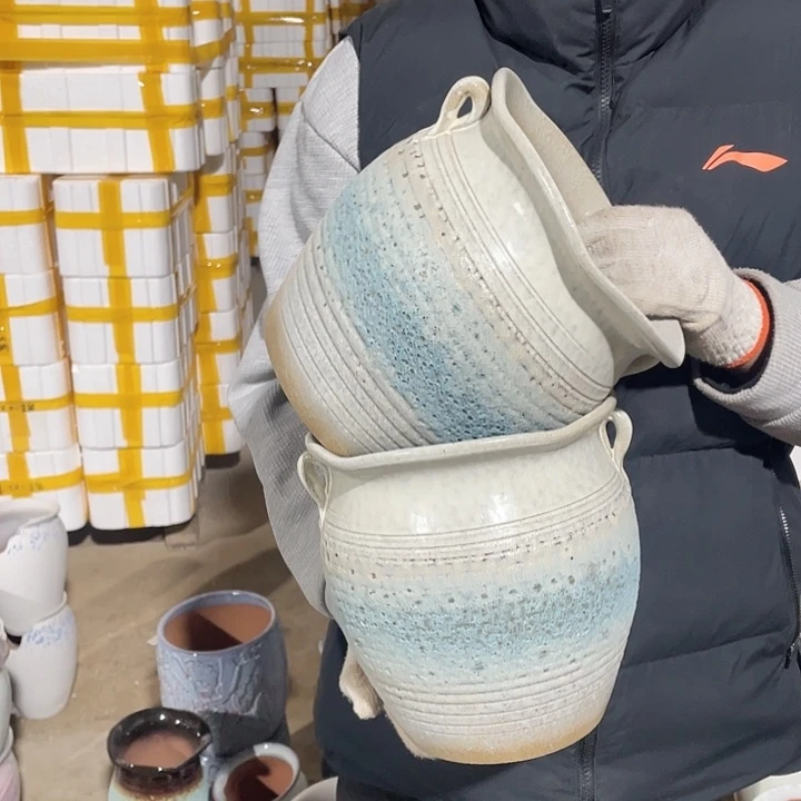 正品两个20/20系列