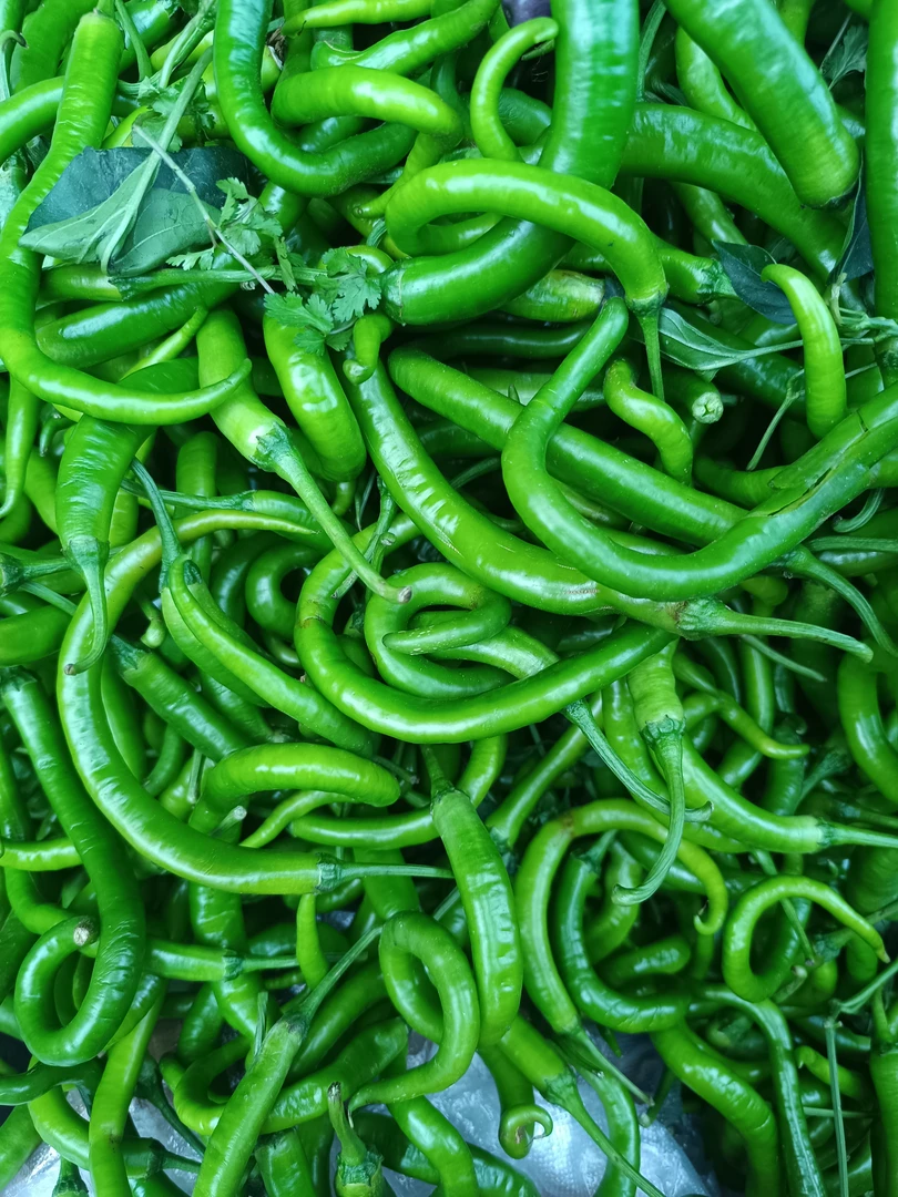 青辣椒/云南农家自种新鲜现摘辣椒青椒