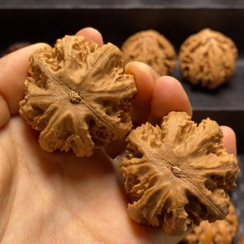把件文玩核桃鼎****于文玩14