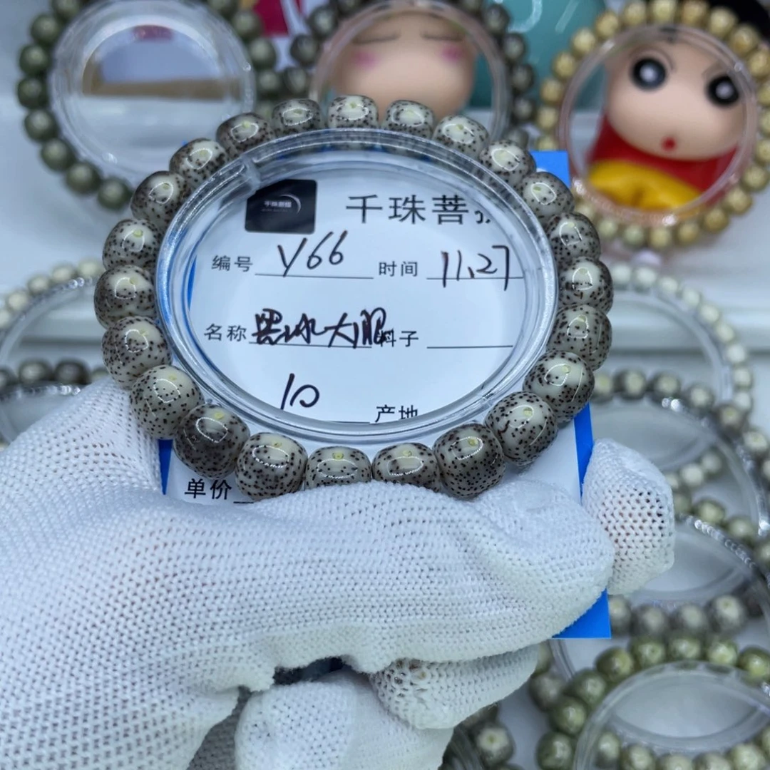 菩提籽类Y66黑冰大眼