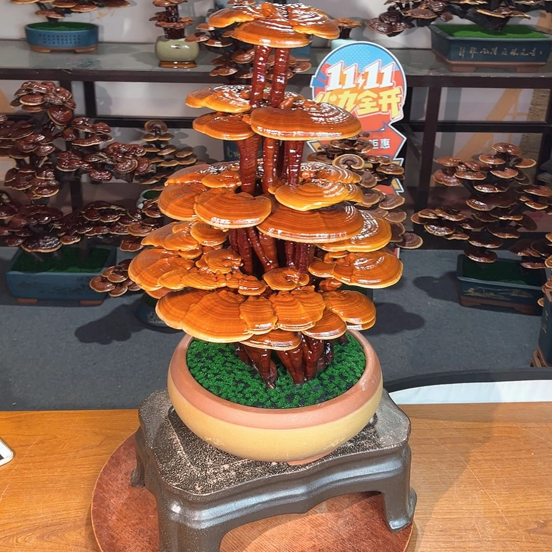 无花朵万事如意8888888888