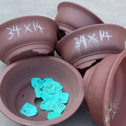 紫砂花盆100-5。34-14