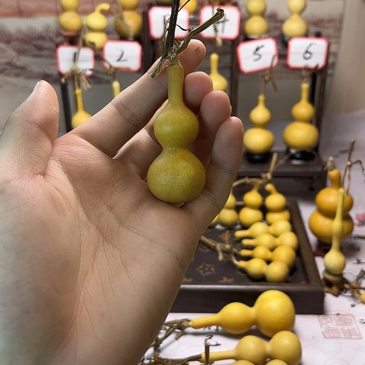 葫芦葫芦葫芦葫芦