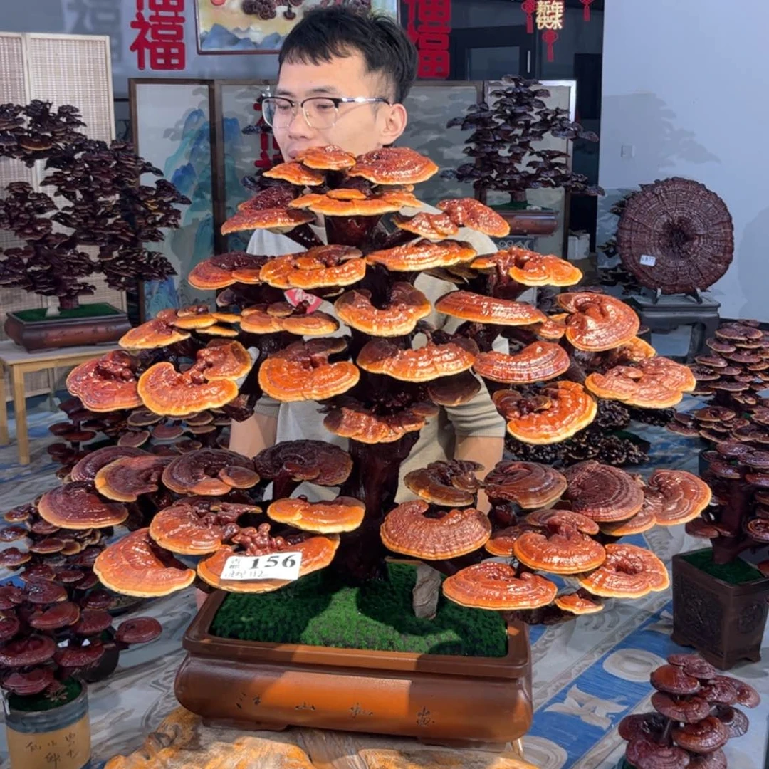 【闪购商品】用****6888888