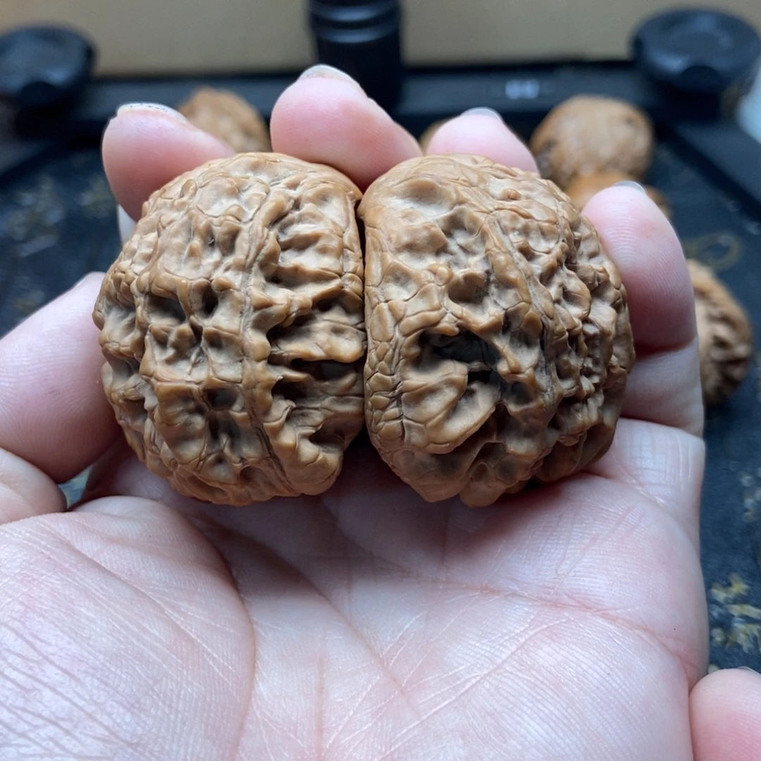 核桃49尺全品无修蛇头