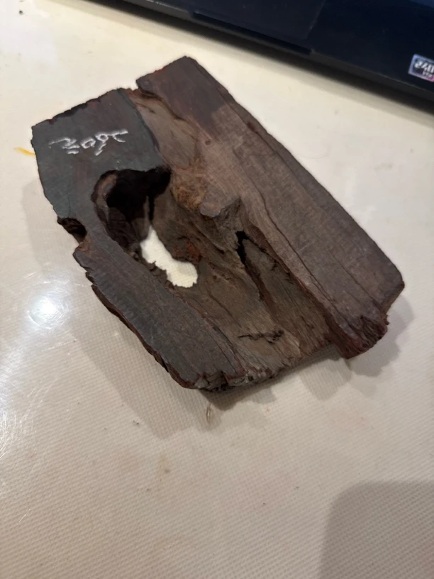 小叶紫檀老料260