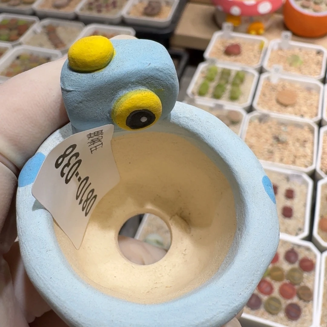 V***生0810-038换一颗花