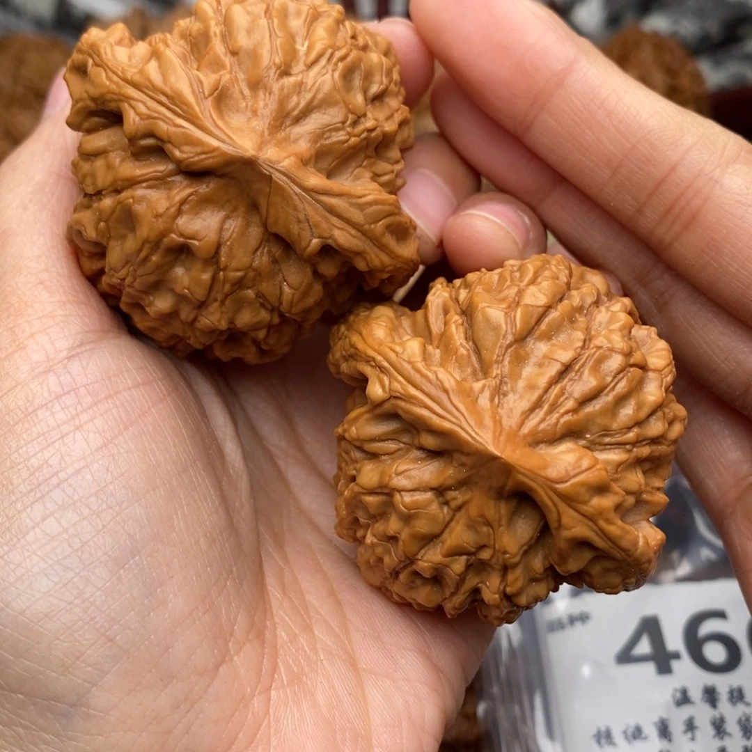 文玩核桃把件466号52全品龙鼎