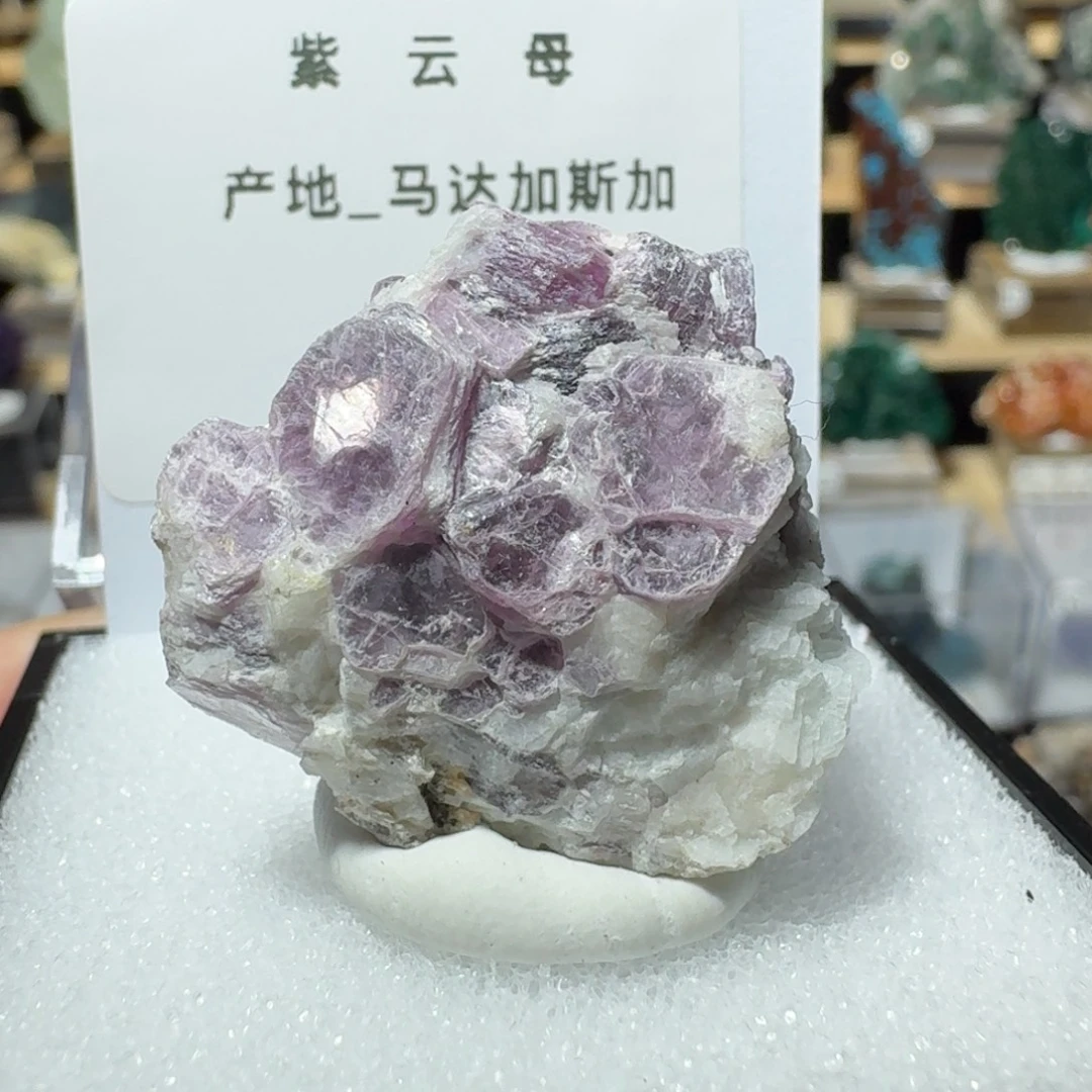 石材1号一物一拍一个