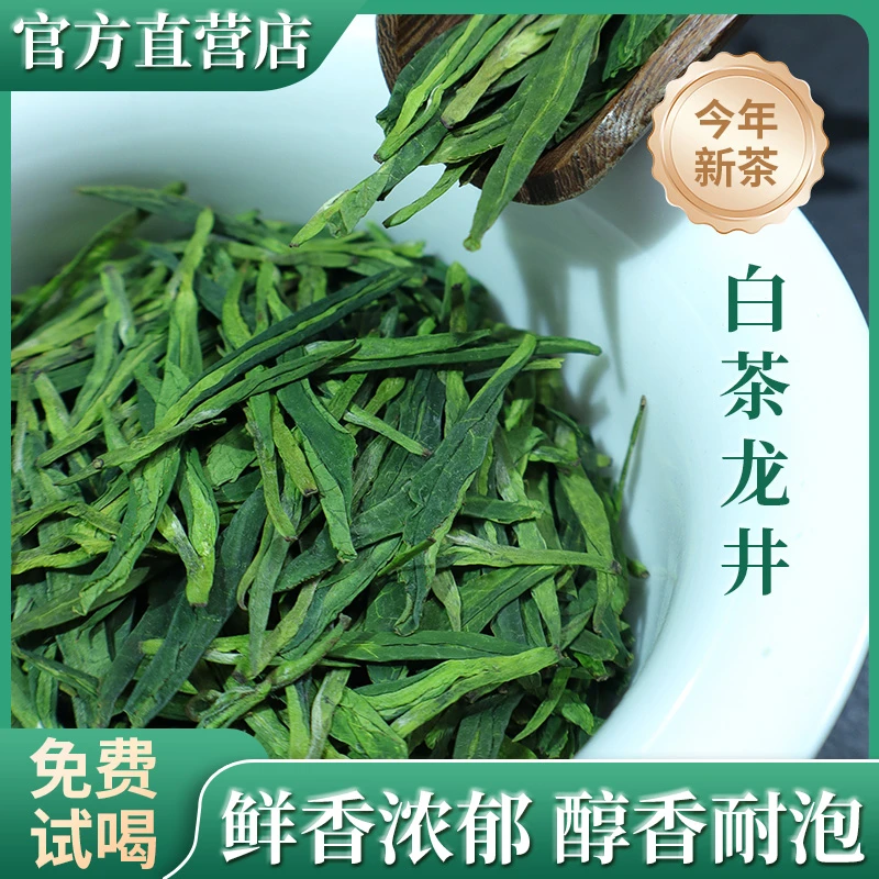鼎锡和铭【白茶龙井】白茶茶青龙井新茶芽叶柔嫩浓香耐泡绿茶