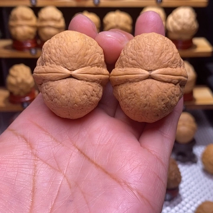 泉***木质类云铁光头强180号