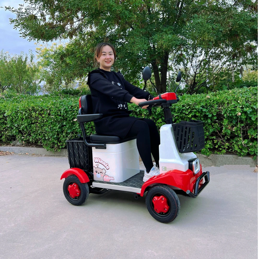 新款单人小巴士代步车适合成人老年人休闲出行电动车