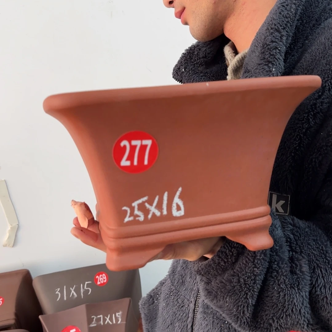 紫砂花盆呜呜呜呜