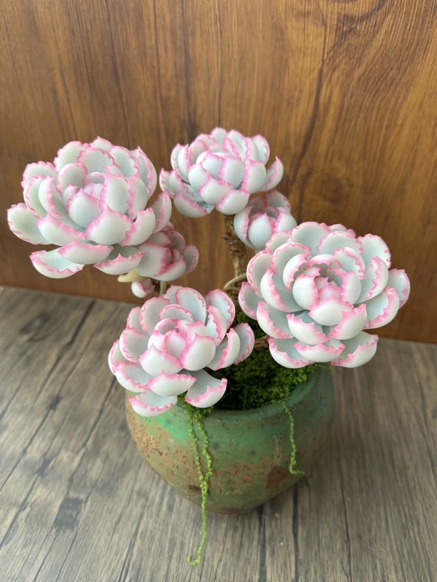 新手好养的手工多肉伯克利锦假花仿真花室内盆栽（不含盆）