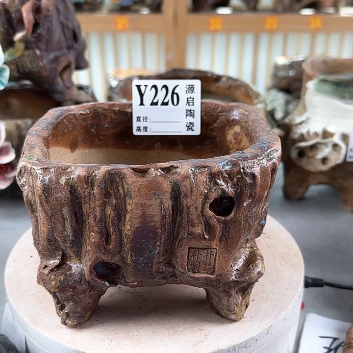 紫砂花盆景德镇陶瓷多肉226