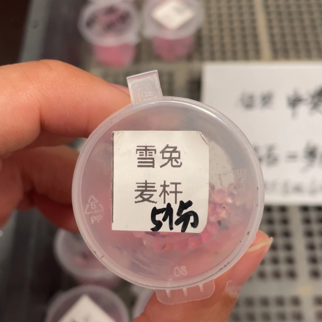 雪兔✖️麦秆20粒，新品新手推荐