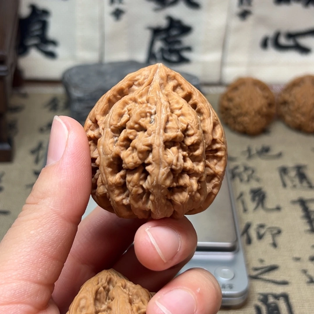 H***.涿鹿原生态山地果