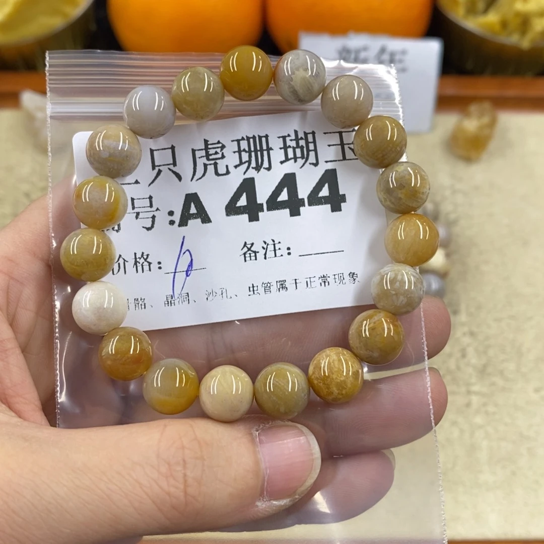 硅化珊瑚（珊瑚玉）1未镶嵌蓝*晶