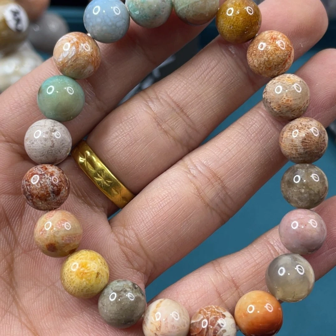 未镶嵌手镯硅化玉