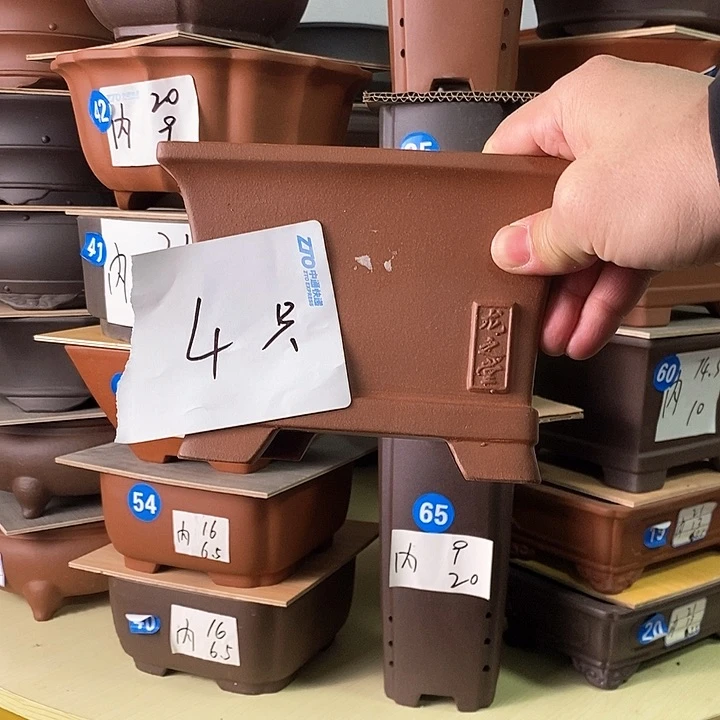 紫砂花盆今天下午