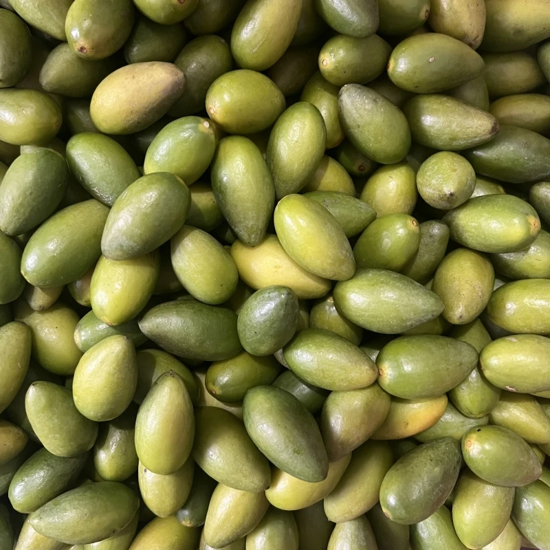 揭阳农民兄弟新品橄榄揭榄2号凌锋2号新鲜采摘果园直发