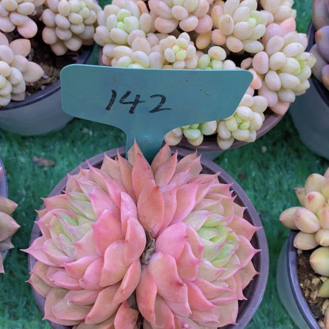 清货专场，满5宋1了