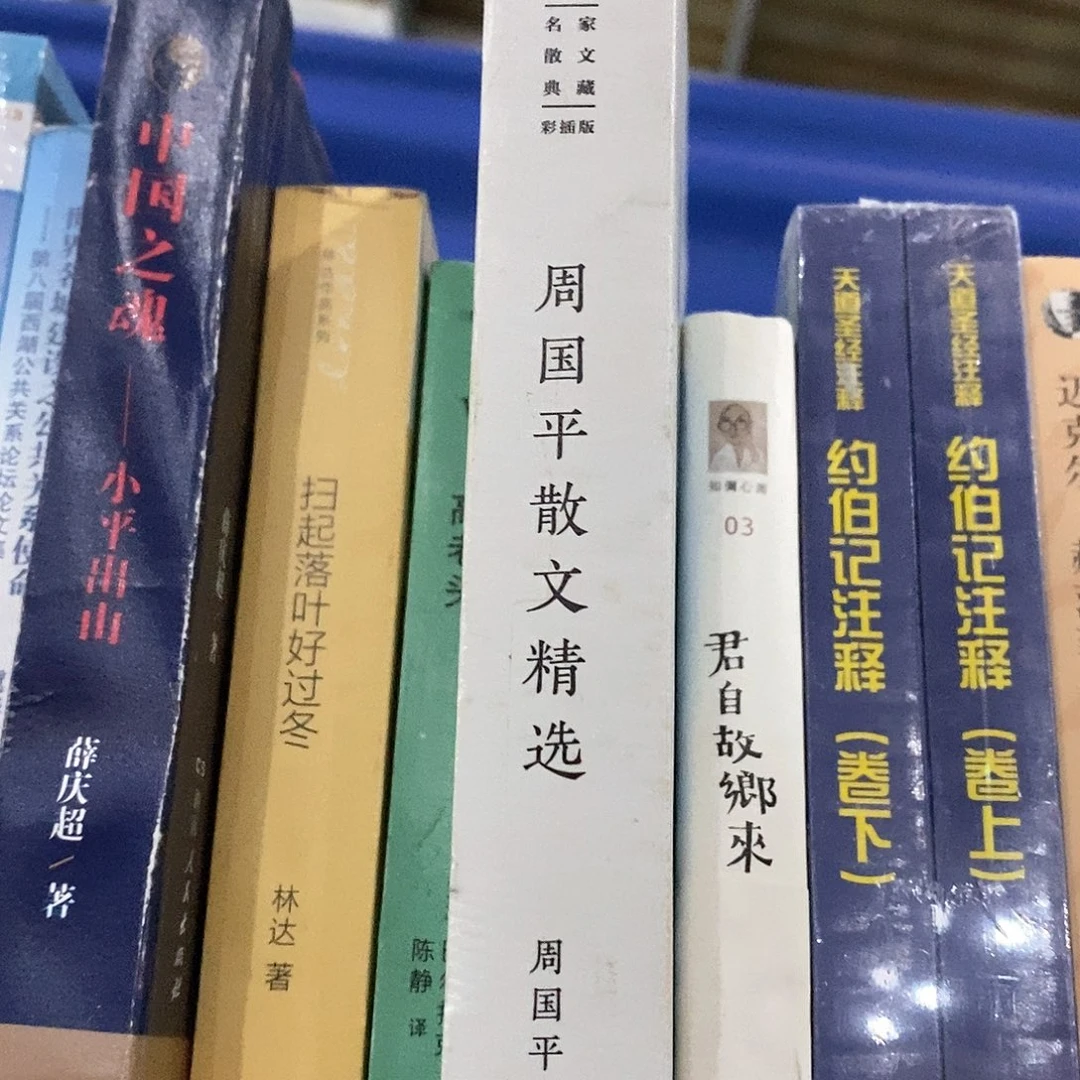 封面划口  周国平散文选