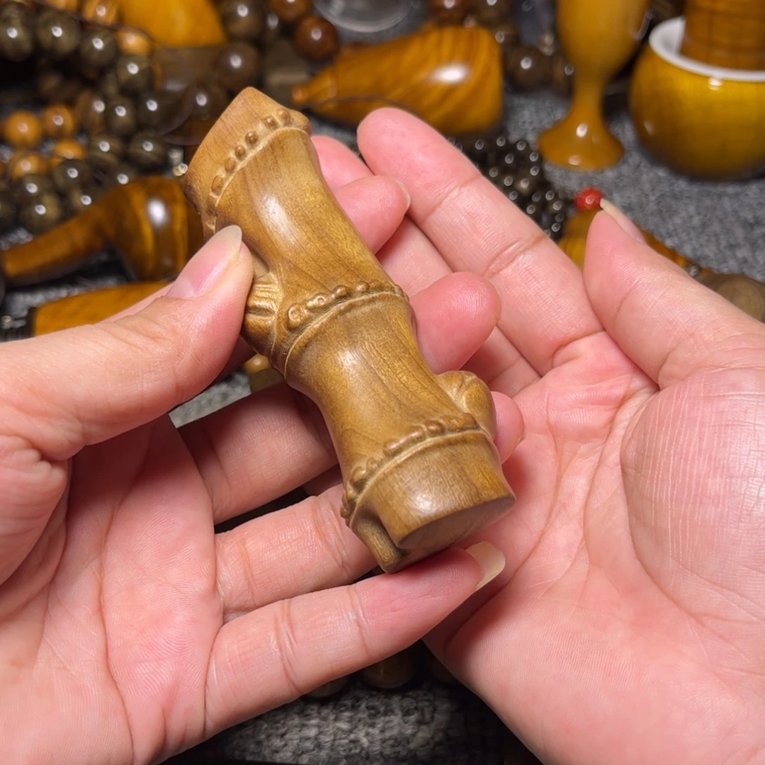 金丝楠竹节小叶桢楠