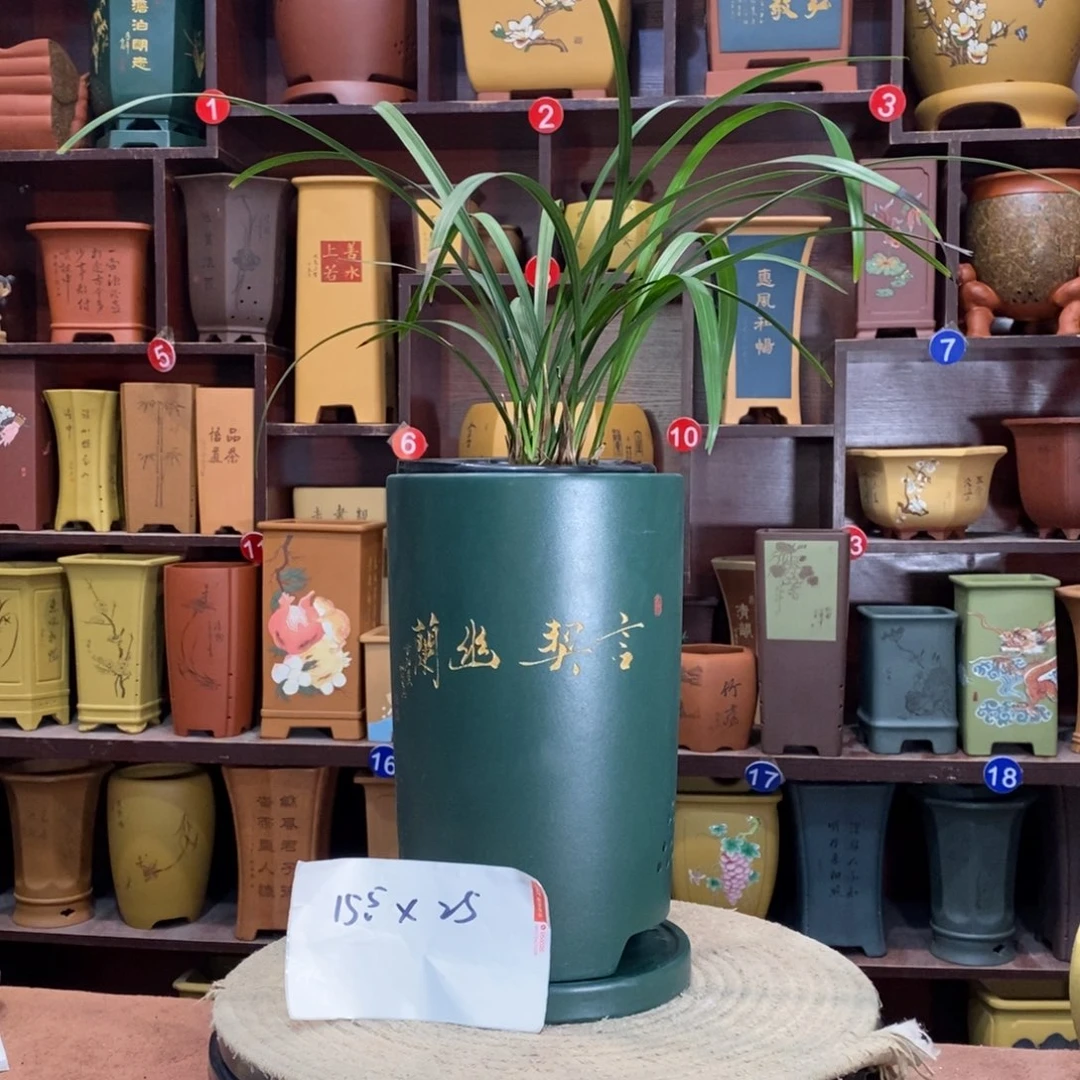 紫砂花盆紫砂艺术