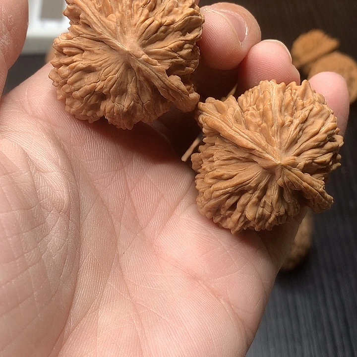 沧***士文玩核桃吊坠40 楼子