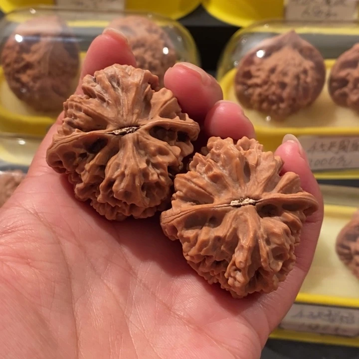 ✯***酷核桃文玩核桃42尺小帝王