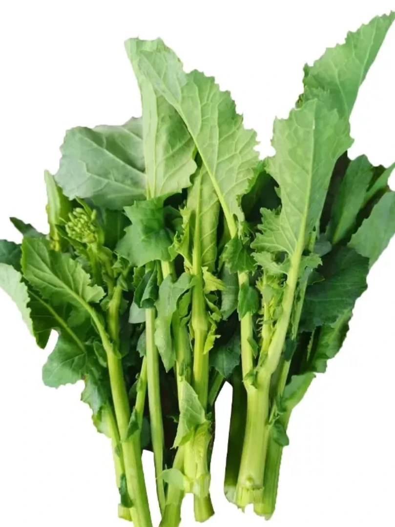 大城墩新鲜农家蔬菜