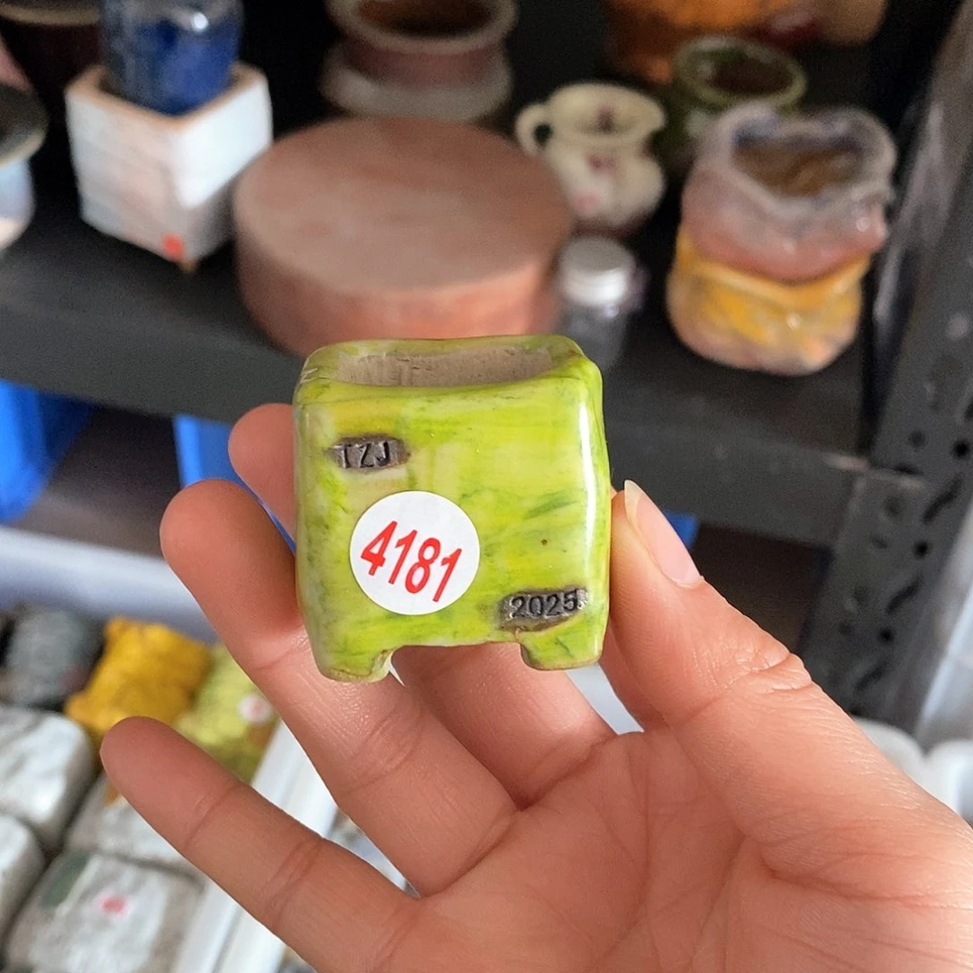 红陶@*豆拍5送一个小