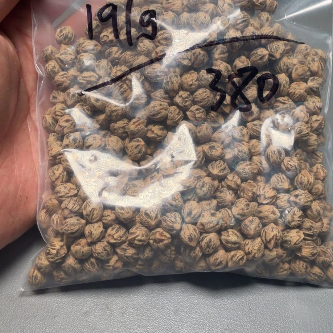 吊坠柏香籽/百香籽A****总