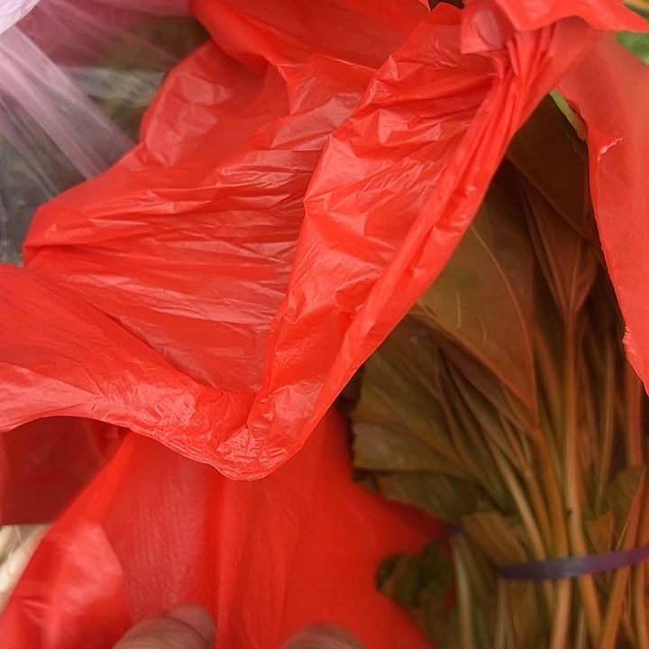 .****中国大陆雪里红+荠菜