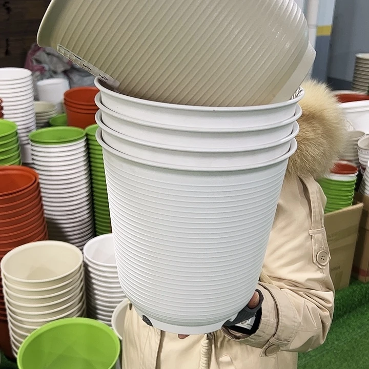 正品高陶口24.5高24.6白色无托5只