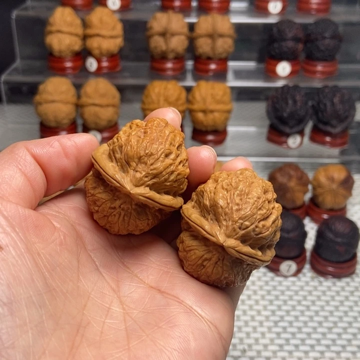 文玩核桃把件40霸王蟾