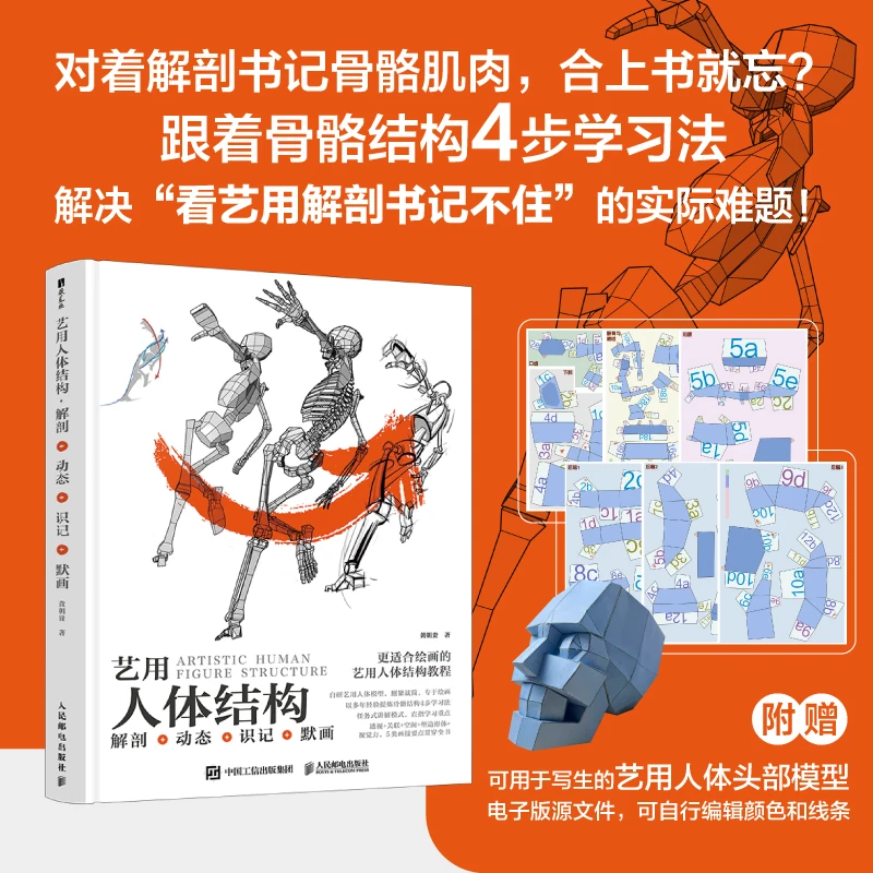 艺用人体结构 解剖+动态+识记+默画