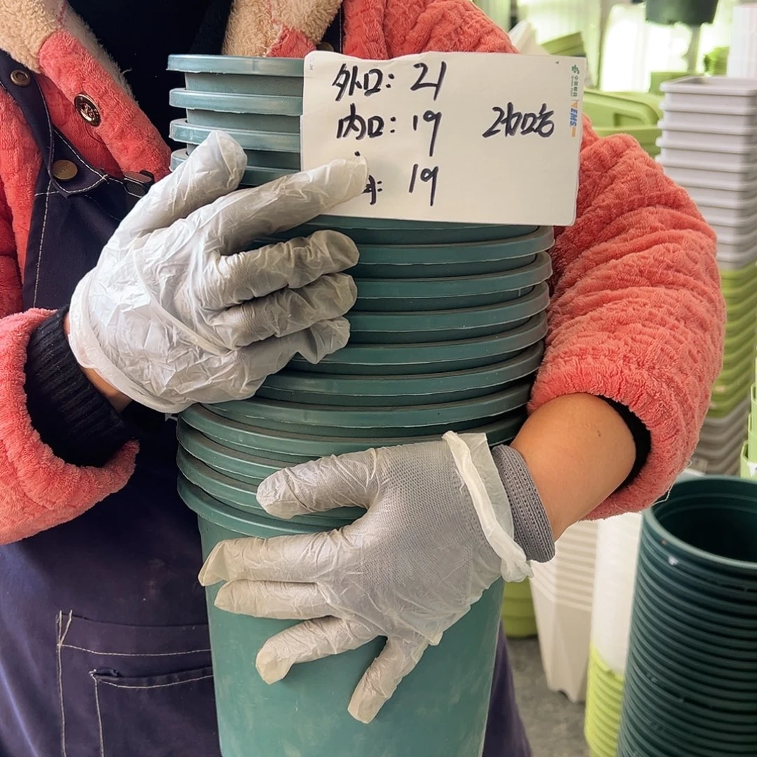 瑕疵2#加仑墨绿色20个无托