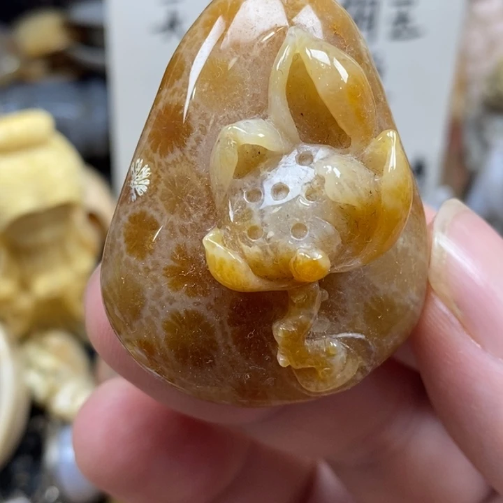 硅化珊瑚（珊瑚玉）未镶嵌颈饰