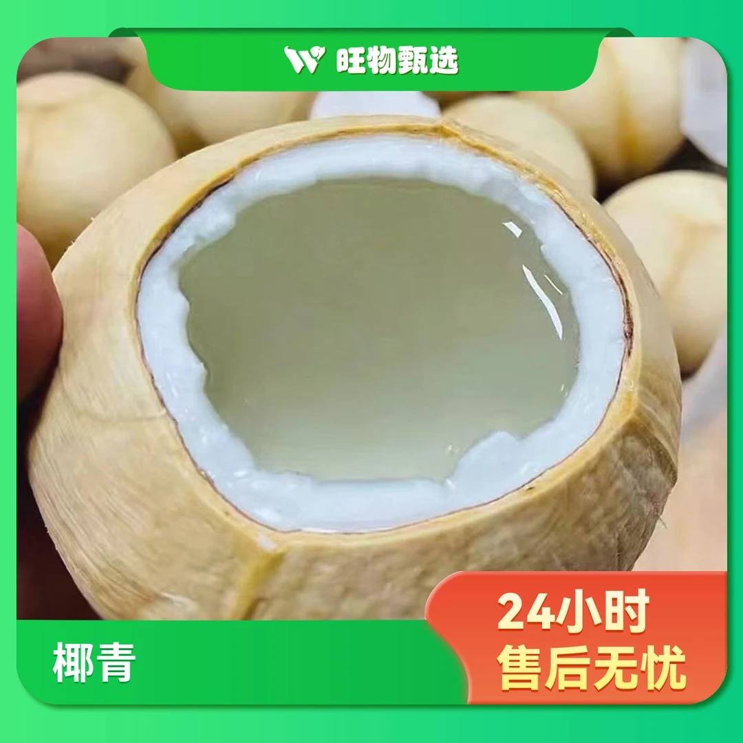【旺物甄选】进口水果·泰国A级椰皇1个装600g左右（±50）