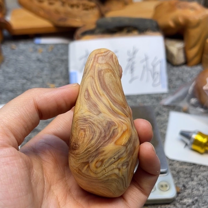 柏木（崖柏）崖柏55