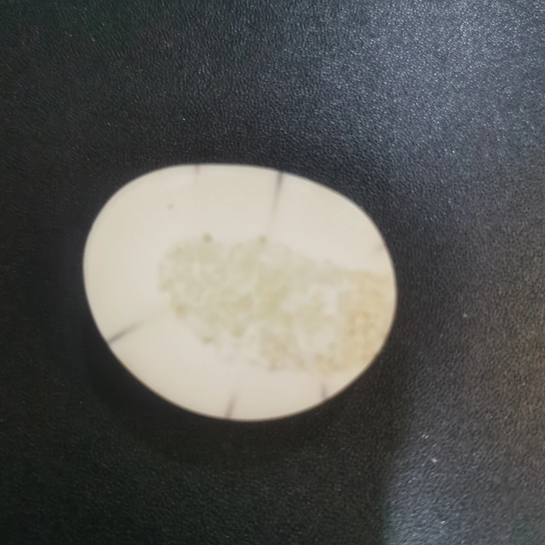 猛犸虬饼子kk876