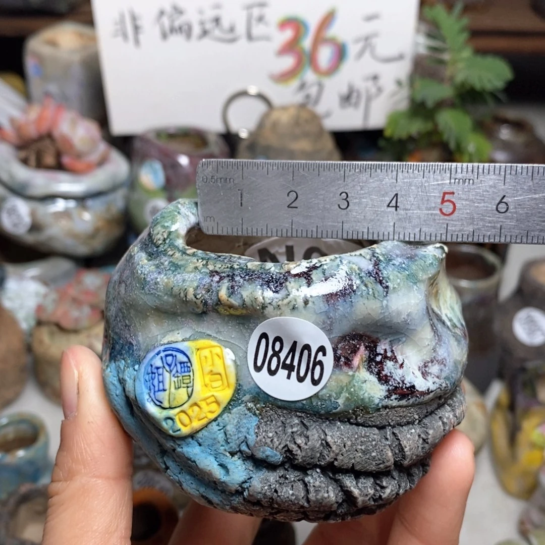 花盆拍3送一个小礼物